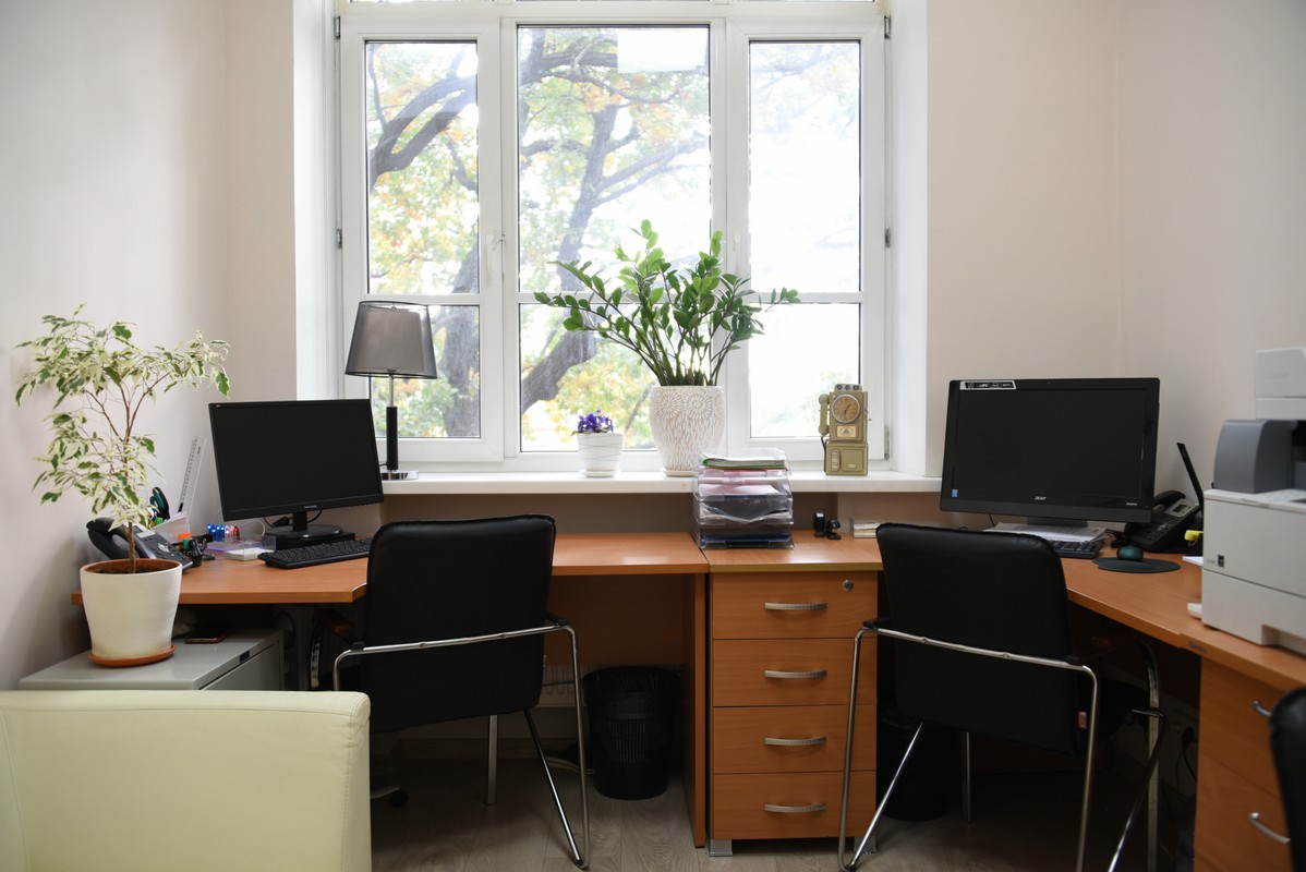 Как открыть ИП